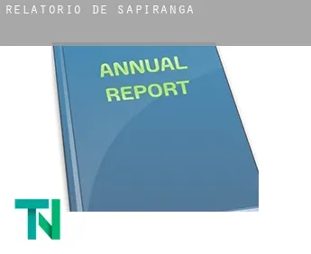 Relatório de  Sapiranga