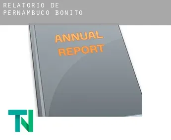Relatório de  Bonito (Pernambuco)