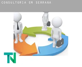 Consultoria em  Serrana