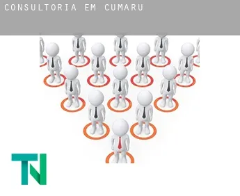 Consultoria em  Cumaru