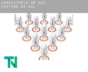 Consultoria em  São Caetano do Sul