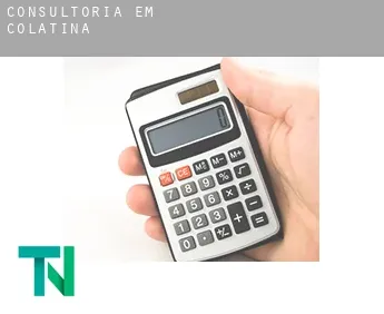 Consultoria em  Colatina