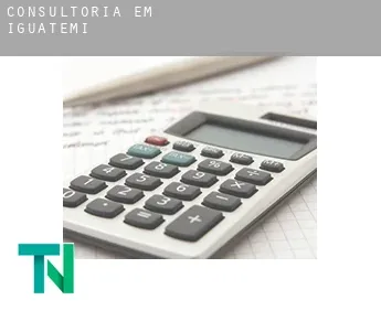 Consultoria em  Iguatemi