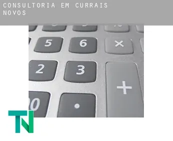 Consultoria em  Currais Novos