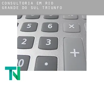 Consultoria em  Triunfo (Rio Grande do Sul)