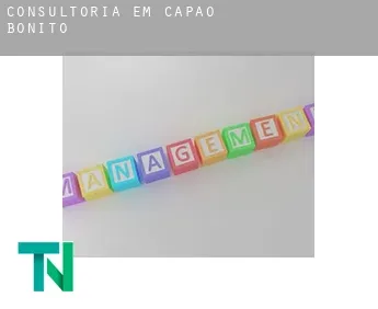 Consultoria em  Capâo Bonito