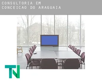 Consultoria em  Conceição do Araguaia