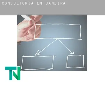 Consultoria em  Jandira