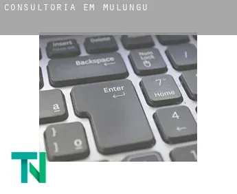 Consultoria em  Mulungu