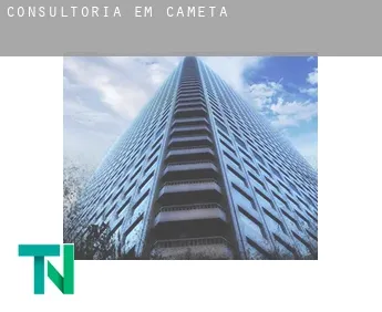 Consultoria em  Cametá