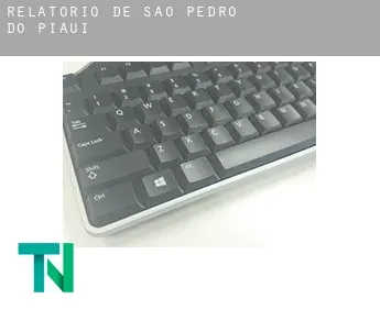 Relatório de  São Pedro do Piauí