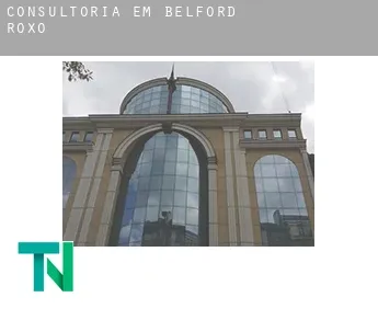 Consultoria em  Belford Roxo