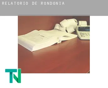 Relatório de  Rondônia
