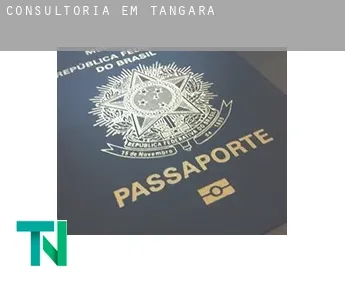 Consultoria em  Tangará