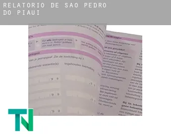 Relatório de  São Pedro do Piauí