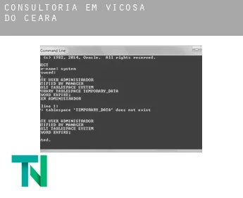 Consultoria em  Viçosa do Ceará