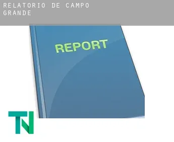 Relatório de  Campo Grande